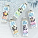 Blue Stripes Vanilla Cacao Water, 10 FZ