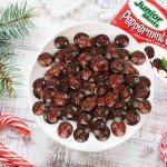 Junior Mints Peppermint Crunch - Mint Chocolate Candy - 3.5oz Box (4 Pack) - Classic Creamy Mint, Dark Chocolate, Refreshing, and Delicious Treat