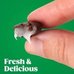 Junior Mints Peppermint Crunch - Mint Chocolate Candy - 3.5oz Box (4 Pack) - Classic Creamy Mint, Dark Chocolate, Refreshing, and Delicious Treat