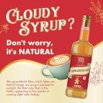 ChocZero Sugar Free Coffee Syrup, Gingerbread Flavor, Simple Syrup Drink Mix, Gingerbread Latte, Protein Shakes & Baking, Gluten Free, All Natural, 25.4 Ounces Bottle (Pack of 1)