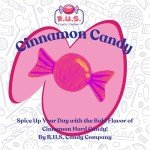 R.U.S. Candy Company Cinnamon Disc Candy - 1 Pound Bag - Spicy Hard Candy Perfect for Parties and Gift Giving (1 Pound, Cinnamon)