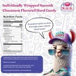 R.U.S. Candy Company Cinnamon Disc Candy - 1 Pound Bag - Spicy Hard Candy Perfect for Parties and Gift Giving (1 Pound, Cinnamon)