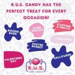 R.U.S. Candy Company Cinnamon Disc Candy - 1 Pound Bag - Spicy Hard Candy Perfect for Parties and Gift Giving (1 Pound, Cinnamon)