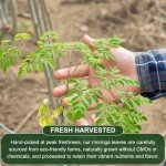 BOTAMONY Premium 50 Moringa Leaf Tea Bags, 100% Natural Pure Organic Moringa Leaves Herbal Tea | Boost Immunity & Supporting Digestion, Antioxidants Rich | Handmade Non-GMO Sugar/Caffeine/Gluten Free