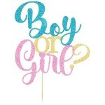 Sweet One First Birthday Strawberry Cake,with Flower Glitter Sweet Fruit Theme First Birthday Strawberry One Cake,Baby Shower Kids 1st Birthday Party Supplies (Boy or Girl, Light Blue&Pink)