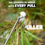 EcoNour 2-Pack Weed Puller Tool | Durable Stainless Steel with Ergonomic Soft-Grip Handle | 4-Tine Dual-Purpose Design for Weed Removal | Suitable for Digging and Versatile Gardening Tasks