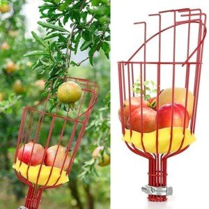 Fruit Picker Basket Head, Fruit Picker Tool, Fruit Harvesting Attachment for Harvesting Fruit, Fruit Tree Grabber Tool with Foam Cushion for Gathering Orange, Lemon, Pear, Not Include Pole