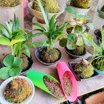 Indoor Plant Soil Scoop Set - 8 Pieces