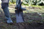 Square Garden Shovel with Wooden Handle