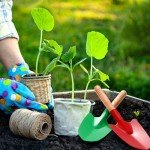 12 Pack Kids Gardening Mini Shovels Set