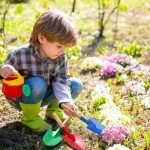 12 Pack Kids Gardening Mini Shovels Set