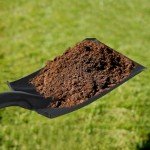 31" Flat Garden Shovel with D-Handle Grip