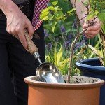 Kent & Stowe Stainless Steel Planting Shovel 33cm