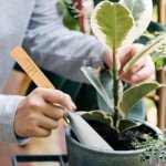 Cabilock Small Garden Shovel Hand Trowel Tool
