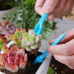 Mini Soil Scoop for Indoor Plants - Blue