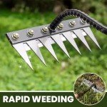 Heavy-Duty Iron Weeding Rake with 5 Teeth