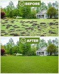 Adjustable Lawn Leveling Rake with Steel Handle