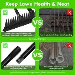 15" Heavy Duty Metal Thatch Rake with Adjustable Handle