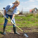 Heavy Duty Iron Rake for Gardening and Weeding
