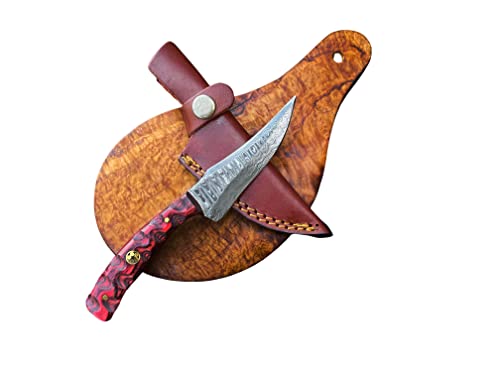 Titan International Knives Damascus Steel Hunting Knive Survival Knife for Men Women Fixed Blade Red Diamond Wood Handle with Leather Sheath Perfect for Hunting and Outdoor activities