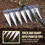 Heavy Duty Iron Rake for Gardening and Weeding