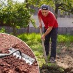 Gardenia Heavy-Duty Iron Weeding Rake - 8 Teeth