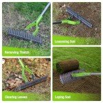 WORKPRO 15-Inch Heavy Duty Thatch Rake with Handle