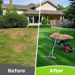 WORKPRO 15-Inch Heavy Duty Thatch Rake with Handle