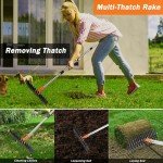 Heavy-Duty Thatch Rake with Steel Tines
