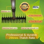 Heavy Duty 3-in-1 Garden Thatch Rake