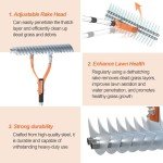 15-Inch Thatch Rake with Steel Tines and Handle