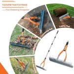 15-Inch Thatch Rake with Steel Tines and Handle