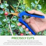 iPower 6.5" Stainless Steel Pruning Shears - 10 Pack