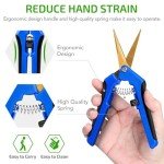 iPower 6.5" Stainless Steel Pruning Shears - 10 Pack