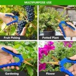 iPower 6.5" Stainless Steel Pruning Shears - 10 Pack