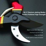 Birud Garden Shears – Sharp Pruning Scissors