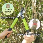 Heavy Duty Tree Loppers with Gear Technology