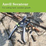 Professional Pruning Shears Set, 3-Piece Essentials