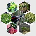 JSDing Stainless Steel Pruning Shears for Gardens