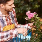 Lightweight Garden Shears for Pruning and Trimming