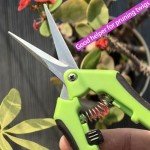 Sharp Gardening Shears Set - 2 Piece Trimmers