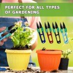 4Pcs Bonsai Pruning Scissors for Gardening