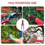 HortiSnip 8-Inch Heavy-Duty Pruning Shears