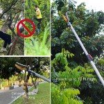 Extendable Long Reach Tree Pruner and Fruit Picker