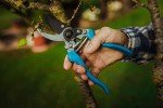 Altuna One-Handed 22 cm Pruner for Gardening