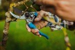 Altuna One-Handed 22 cm Pruner for Gardening