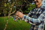 Altuna One-Handed 22 cm Pruner for Gardening
