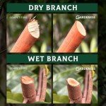 Titanium Plating Japanese Pruning Shears – Heavy Duty