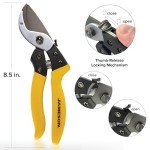 Jameson Heavy-Duty Anvil Pruning Shears