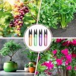 Colorful Mini Bonsai Pruning Scissors Set